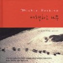여행나무 - 중구 남대문로 117 | 여행나무