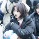 우리댕 Daum카페
