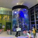 간전중앙로 이미지