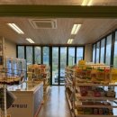 담양금성산성 오토캠핑장 이미지