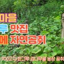 산내면 덕동마을 이미지