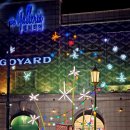 11월19일(수) 먹벙~ 한강변걷기 이미지