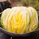 추광농장 이미지