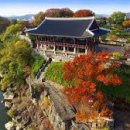 무궁화사 이미지