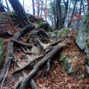 황골탐방지원센터 이미지