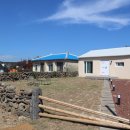 스테이 호꼼만 이미지