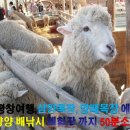 삼양낚시