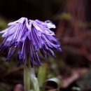 봉양농장 이미지