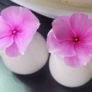 카페일분 안성점 이미지