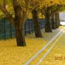 광시중학교 이미지