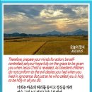 오늘의양식 네이버블로그