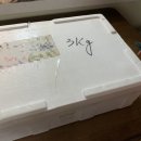 코애드 - 진주시 진주대로 977 | 코애드 주식회사 광양매실로 매실청담근후기! 햇매실이여서 향긋~