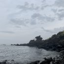 용원농수산직판장