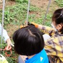 묘산초등학교 이미지