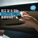 마이펫동물병원 이미지