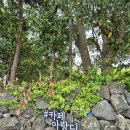 아랑디 애월 이미지