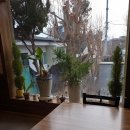 곤드레산채밥 | 크을농 수유 419 한정식맛집 곤드레밥 산채비빔밥 2인세트 후기