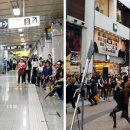 무료영화상영(이웃집 토토로) 이미지