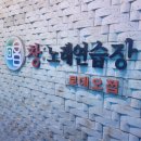 창노래연습장로데오점 이미지