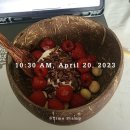 김지웅농장 | 본격 독일 유학 생활기 Day181-182 / 먹방기록,물고기 사러 네덜란드 다녀오기, Spagel, 손님맞이, 실기...