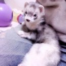 (주)뭉치 이미지