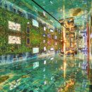 미디어아트<오로라를 이미지