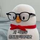이세돌바둑박물관 | 1달차 홈 프로텍터