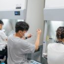 화순제일중학교 이미지