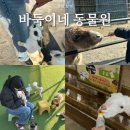 공작어린이공원 | [ 충남 보령 바둑이네동물원 ] 보령 가볼 만한 곳｜먹이 체험 가능한 동물원 방문 후기