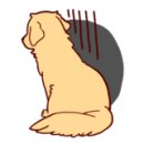 오라켄넬 이미지