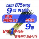 대파 875원의 파문을 키우는 이수정 이미지