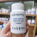 초코약국 이미지