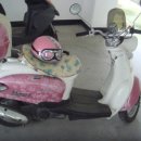 여주-0210 이미지