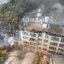 대구매천초등학교 이미지