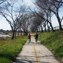 봉동 자전거 대여소 이미지