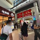 아시아펫 | 중국 상해 펫페어 Pet Fair 최대규모 펫박람회 업체컨택 주의점