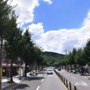 봉곡동252 이미지