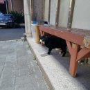 알파문구 앞 이미지