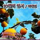 10월에 엽서 / 이해인 詩 Cap Cut 이미지