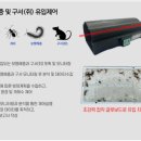 벅스존 코리아 네이버블로그