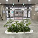 한국전력강서양천지사 이미지