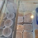 진영식육점 이미지