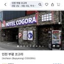 호텔코고라