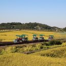 아산우체국 버스정류장 이미지