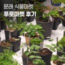 문래 식물마켓 [푸릇마켓] 방문 후기