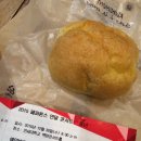 백양루시드 이미지