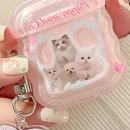 퍼피앤캣 이미지