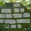 인간과허브 이미지