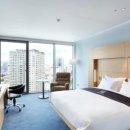 엘디스리젠트 이미지