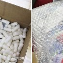 구대몰